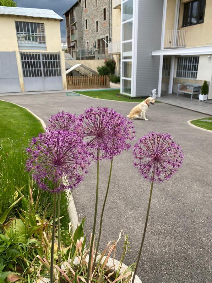 דירות בורג-מדאם Chez Helene 3 Etoiles, Labellise Disabled Pmr,Pour 4 Personnes Chiens Bienvenus-Pet Friendly מראה חיצוני תמונה