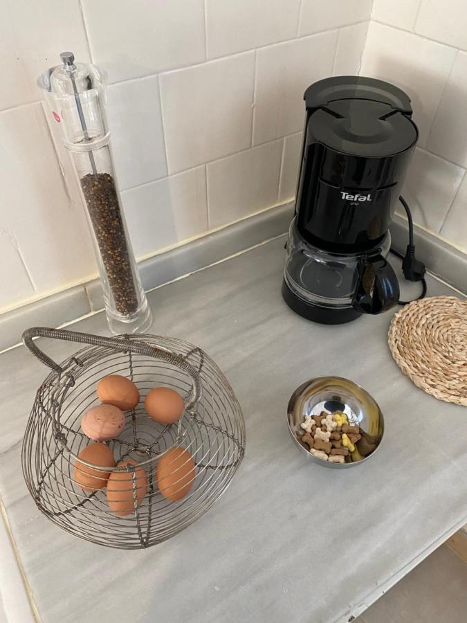 דירות בורג-מדאם Chez Helene 3 Etoiles, Labellise Disabled Pmr,Pour 4 Personnes Chiens Bienvenus-Pet Friendly מראה חיצוני תמונה